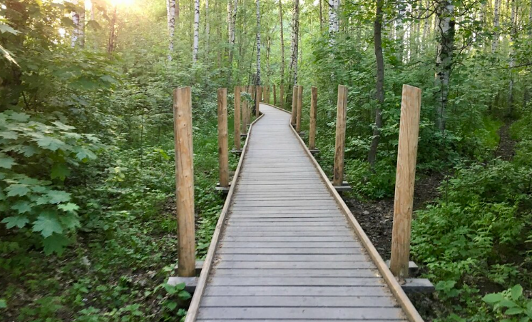 Experience Helsinki Nature In 4 Parks And Island