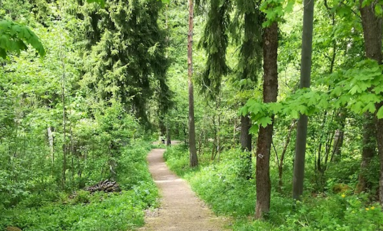 Keskuspuisto – Helsinki’s Central Park & Forest